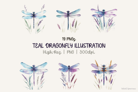 Download Teal Dragonfly Illustration 19 Png - Png Collection
